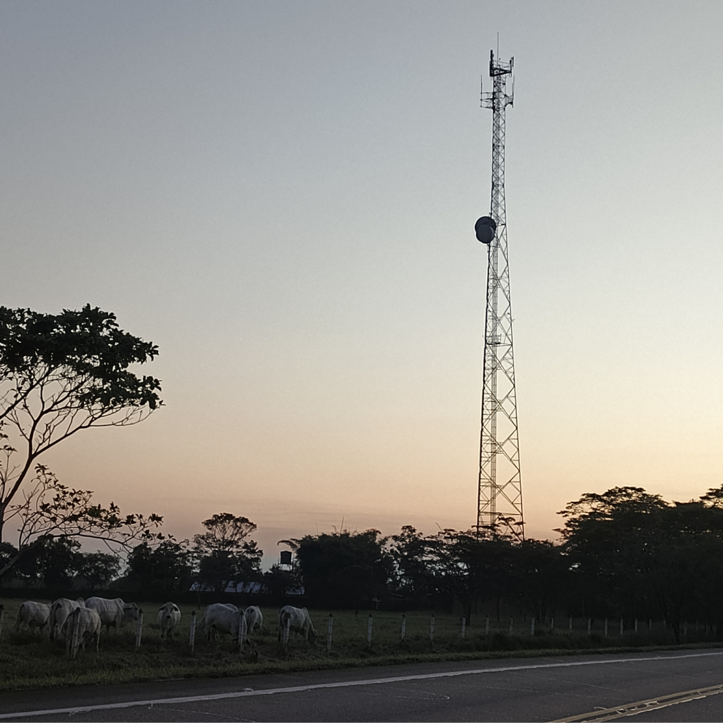 Innovación tecnológica SmartTech